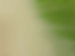 valery-swan's Live Sex Cam Show
