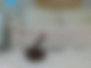 BuxDelight's Live Sex Cam Show