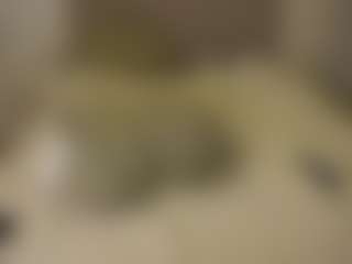Live cam show with Autumn Nights - American on numayanayam.club | netherlands
