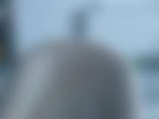 Live cam show with Deidi - Bikini on Nude Chat * 1 On 1 Webcam Sex * Live Cam Show