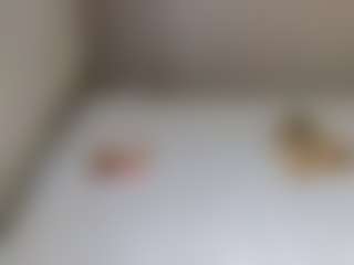 mia-hott's Live Sex Cam Show