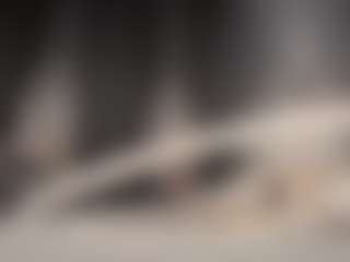 FaexxxFae's Live Sex Cam Show