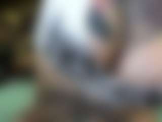 pamelagunns MILF webcam performer live streaming
