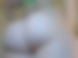 Live cam show with Rosey - Lush Toys on Soda Cam