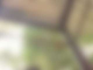 jennermd's Live Sex Cam Show