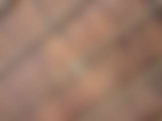 jennermd's Live Sex Cam Show