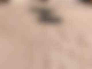 nicole's Live Sex Cam Show