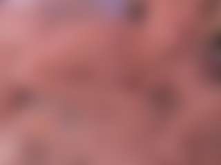 JULIETA's Live Sex Cam Show