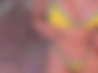 jessica-stonne's Live Sex Cam Show