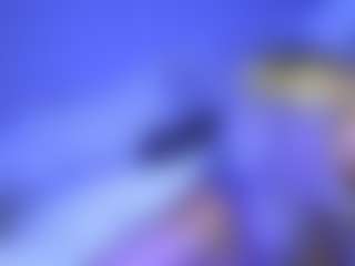 lillylox's Live Sex Cam Show