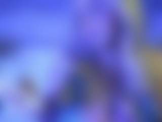 Live cam show with lillylox - Dirty on livesuperchat.net