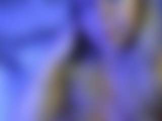 Lillylox
