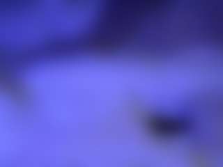 lillylox's Live Sex Cam Show