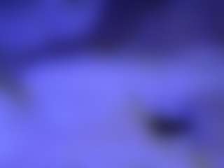 lillylox's Live Sex Cam Show