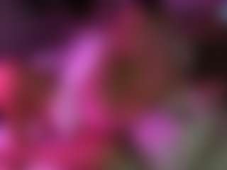 lillylox's Live Sex Cam Show