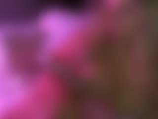 lillylox's Live Sex Cam Show