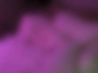 Live cam show with lillylox - Cum Curvy on Fling VIP Chat