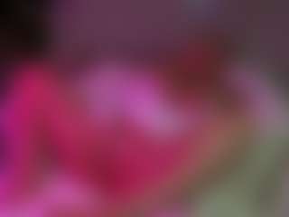 lillylox's Live Sex Cam Show