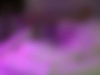 lillylox's Live Sex Cam Show