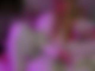 lillylox's Live Sex Cam Show