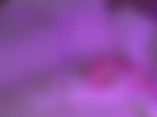 lillylox's Live Sex Cam Show