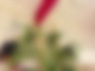 Live cam show with Emilly Bronte - Butt Plug on milfzrlive.com