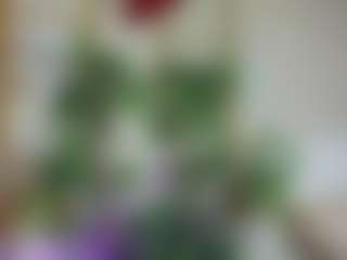 Emilly Bronte's Live Sex Cam Show