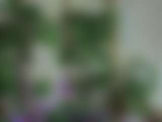 Emilly Bronte's Live Sex Cam Show
