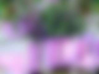 Emilly Bronte's Live Sex Cam Show