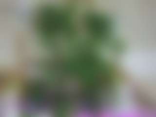 Emilly Bronte's Live Sex Cam Show