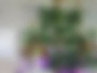 Emilly Bronte's Live Sex Cam Show
