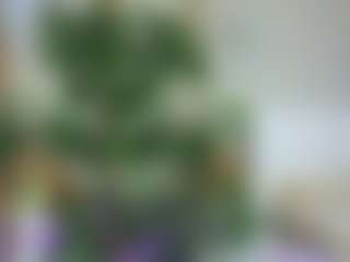 Emilly Bronte's Live Sex Cam Show