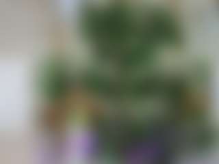 Emilly Bronte's Live Sex Cam Show