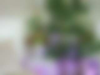 Emilly Bronte's Live Sex Cam Show