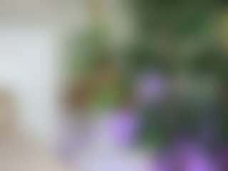 Emilly Bronte's Live Sex Cam Show