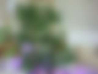 Emilly Bronte's Live Sex Cam Show