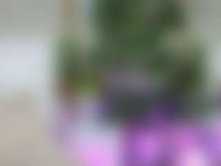 Emilly Bronte's Live Sex Cam Show