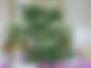 Emilly Bronte's Live Sex Cam Show