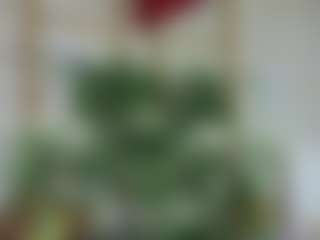 Emilly Bronte's Live Sex Cam Show