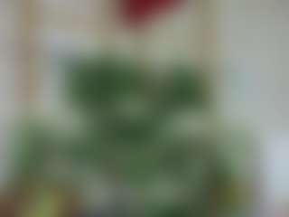 Emilly Bronte's Live Sex Cam Show