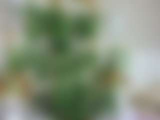 Emilly Bronte's Live Sex Cam Show