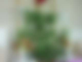 Emilly Bronte's Live Sex Cam Show