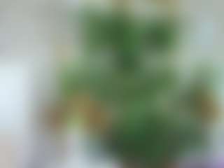 Emilly Bronte's Live Sex Cam Show