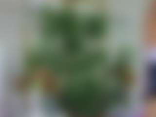 Emilly Bronte's Live Sex Cam Show