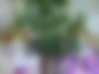 Emilly Bronte's Live Sex Cam Show