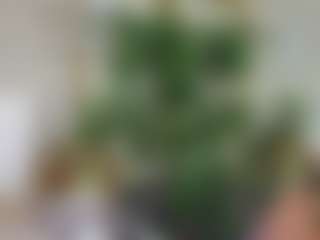 Emilly Bronte's Live Sex Cam Show