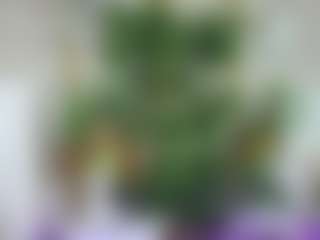 Emilly Bronte's Live Sex Cam Show