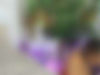 Emilly Bronte's Live Sex Cam Show