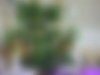 Emilly Bronte's Live Sex Cam Show
