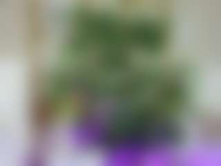 Live cam show with Emilly Bronte - White on CamClone | romania